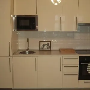 https://apartment-near-the-metro-andel-near-the-embankment-and-brewer.praguehotelsweb.com